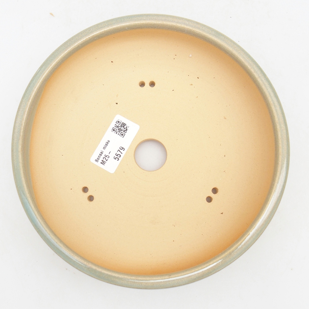 Bonsaischale aus Keramik 18 x 18 x 5,5 cm, grün