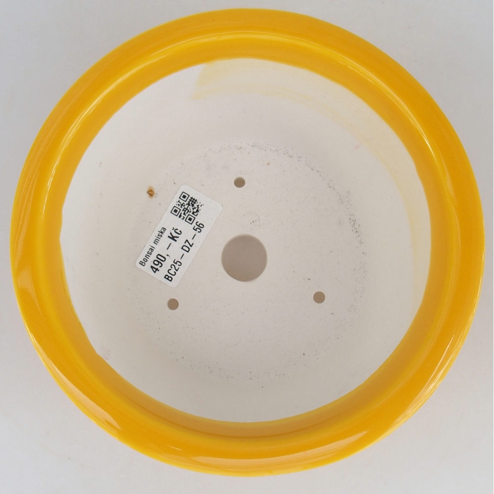 Bonsaischale aus Keramik 16 x 16 x 8,5 cm, gelb