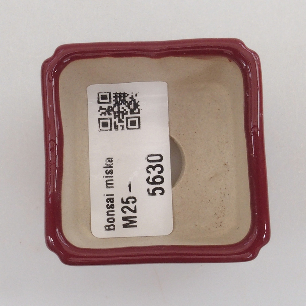 Mini-Bonsaischale 4,5 x 4,5 x 3 cm, bordeauxrot