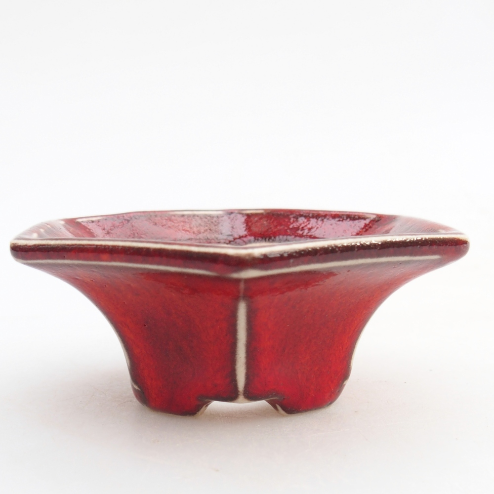 Mini-Bonsaischale 8 x 7 x 3 cm, Farbe rot
