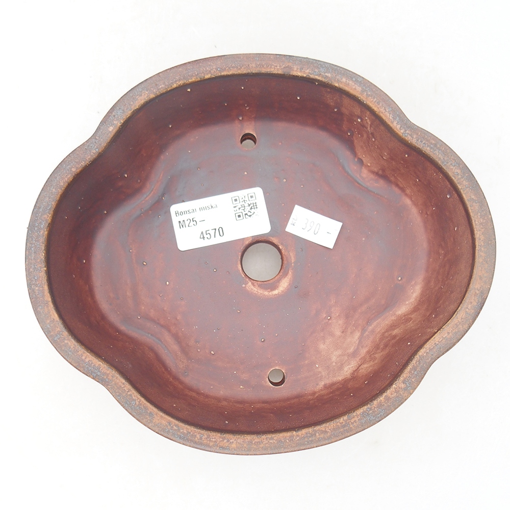 Bonsaischale aus Keramik 17 x 15,5 x 5,5 cm, braun