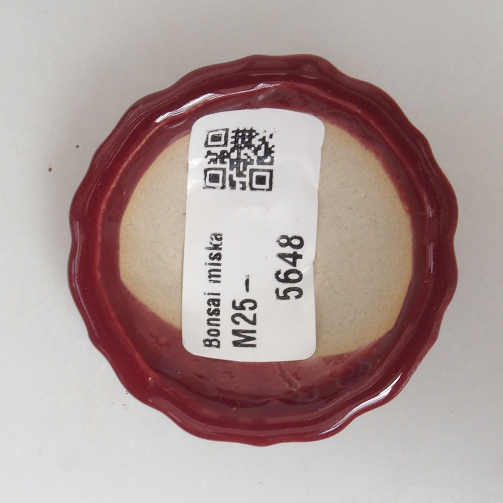 Mini-Bonsaischale 5 x 5 x 1,5 cm, Farbe burgunderrot