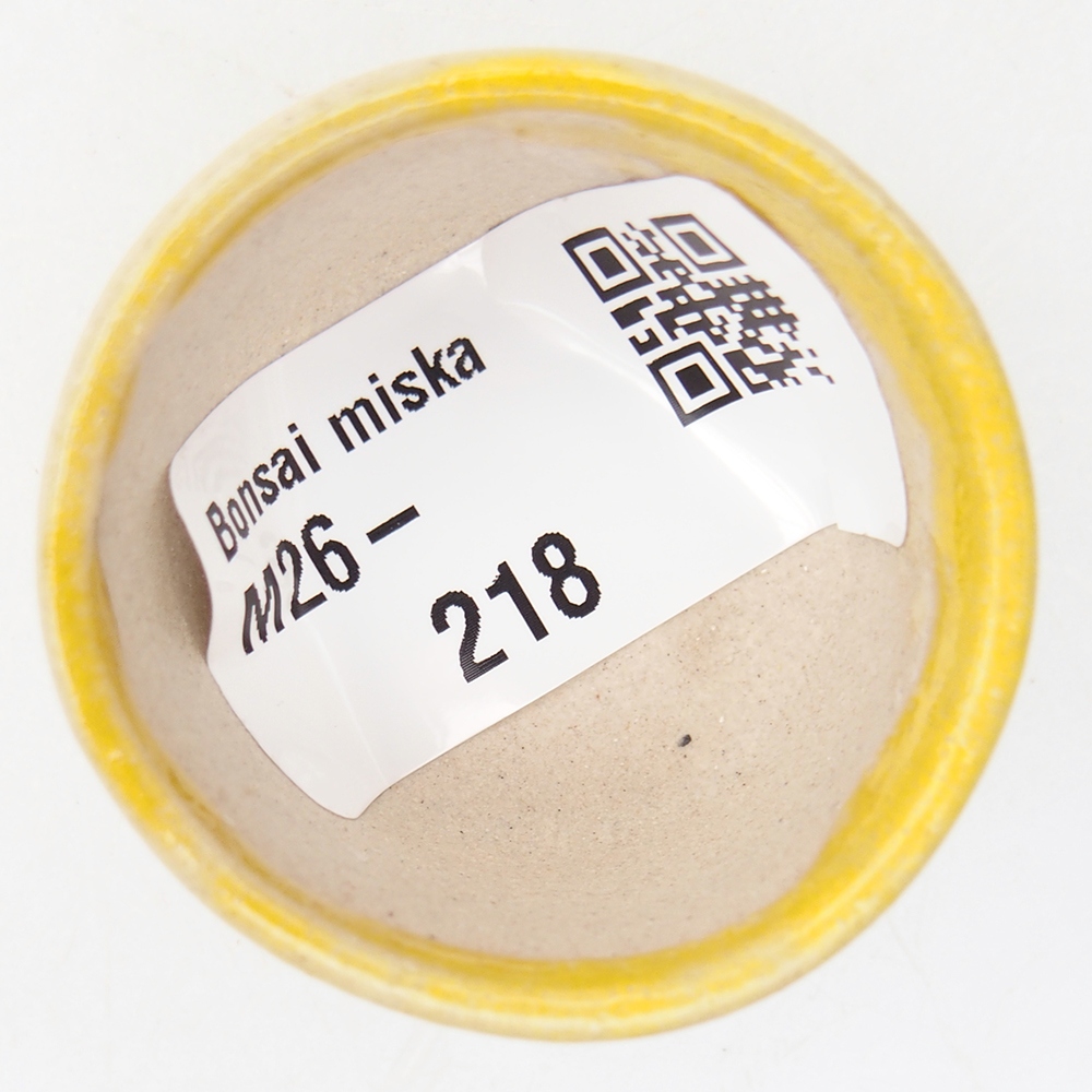Mini-Bonsaischale 4 x 4 x 2,5 cm, gelb
