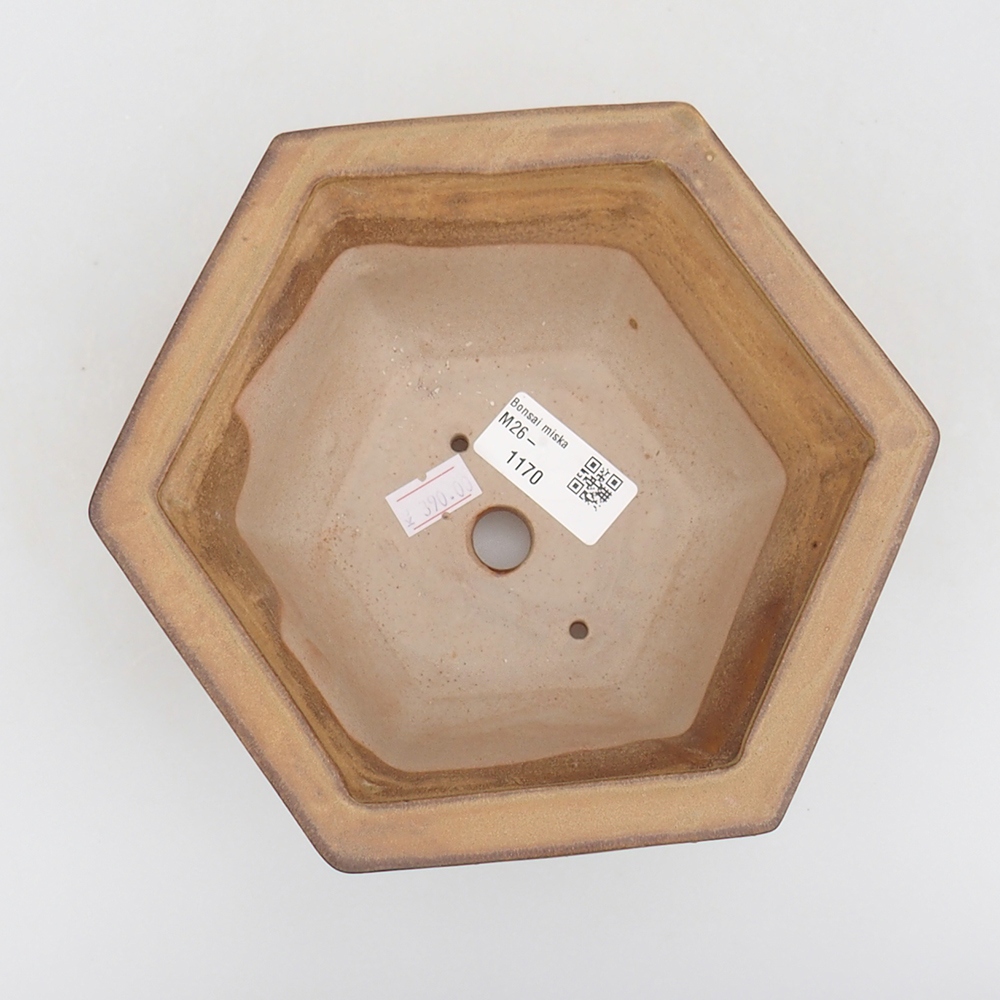 Bonsaischale aus Keramik 18 x 16 x 9 cm, Farbe beige