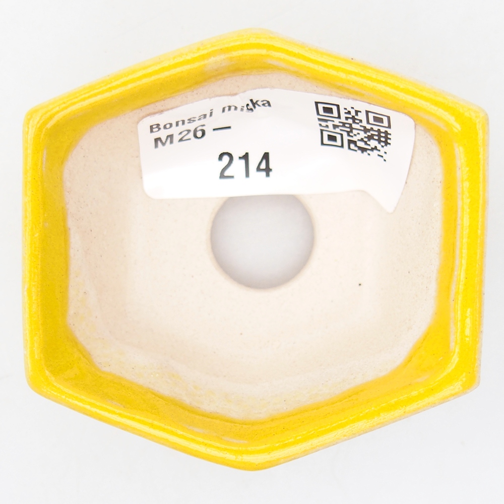 Mini-Bonsaischale 6 x 5,5 x 2,5 cm, gelb