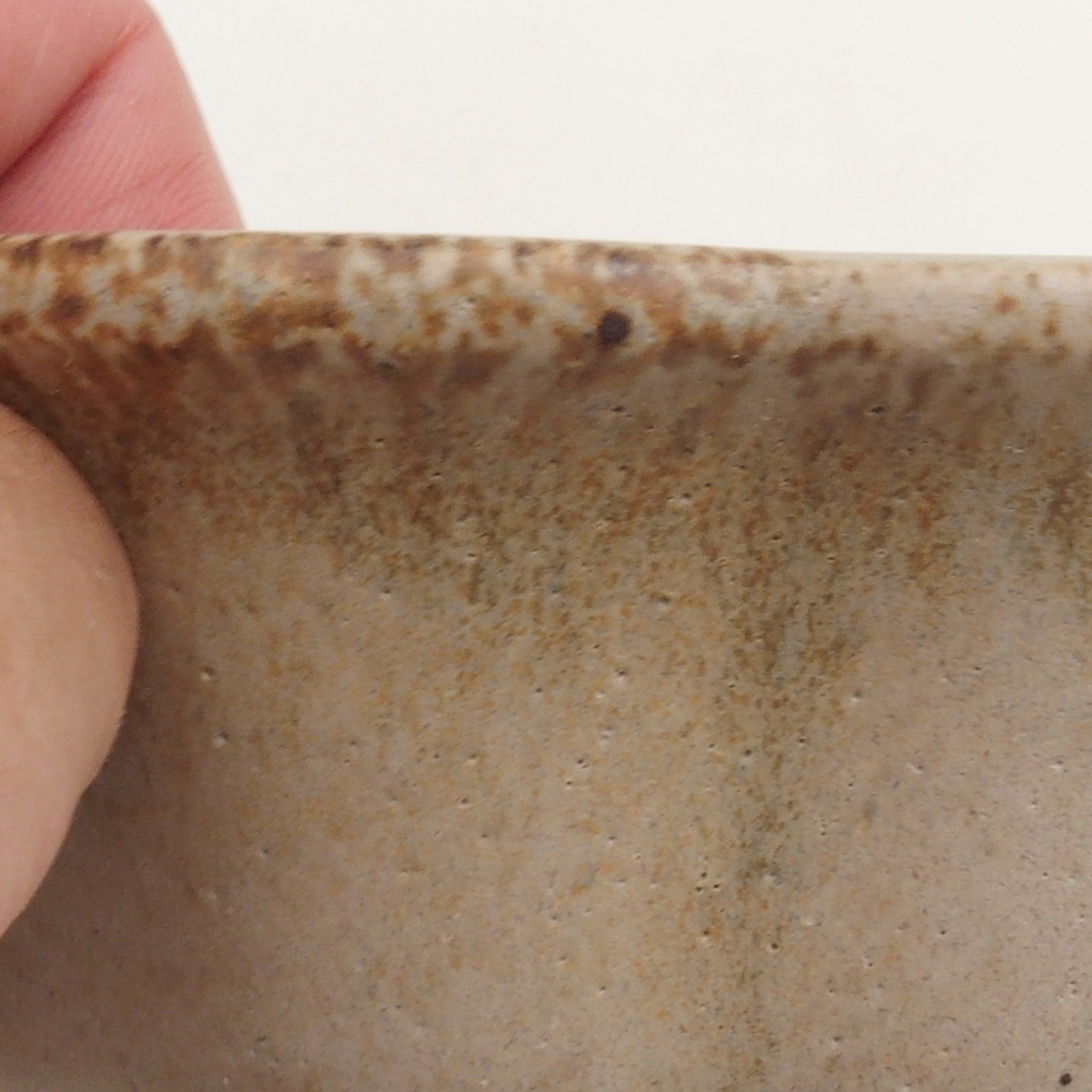 Bonsaischale H06 - 14,5 x 14,5 x 5 cm - beige