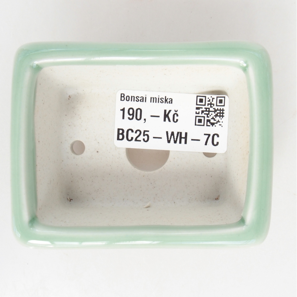 Mini-Bonsaischale 8 x 6 x 3 cm, grün