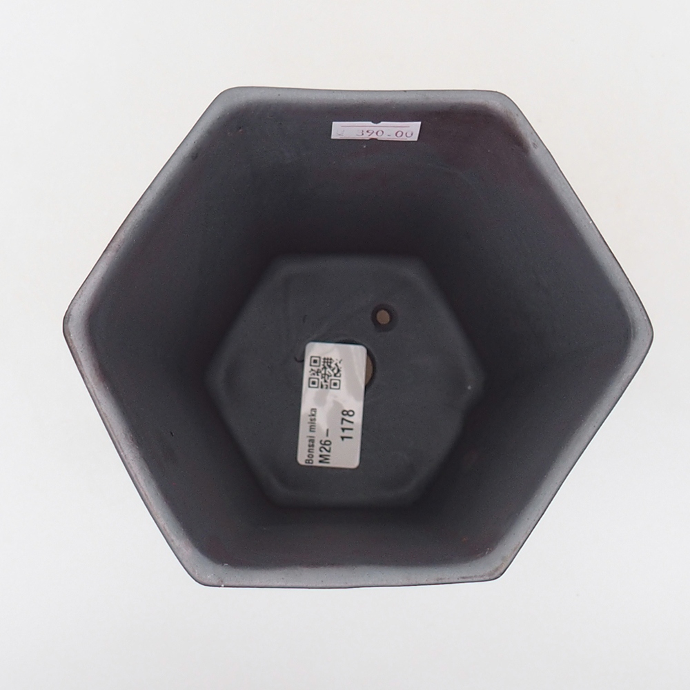 Bonsaischale aus Keramik 13 x 11,5 x 17 cm, metallfarben