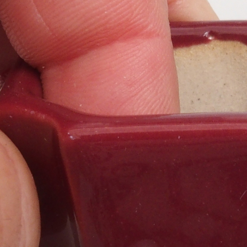 Mini-Bonsaischale 4 x 4 x 4 cm, bordeauxrot