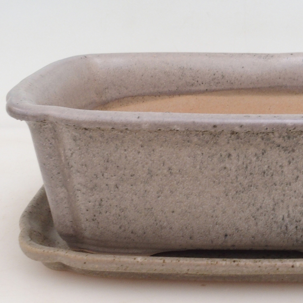 Bonsaischale + Untertasse H50 - beige