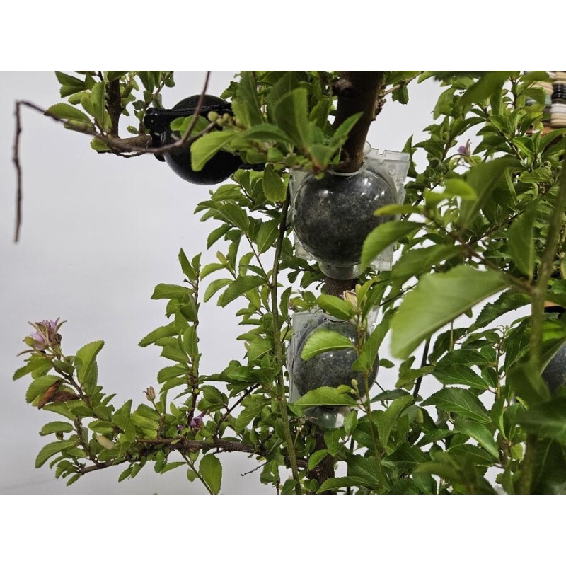 Schneidekugeln 5 cm transparent 100 Stück