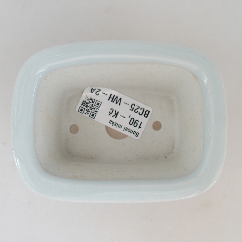 Mini-Bonsaischale 10 x 7,5 x 4 cm, Farbe weiß