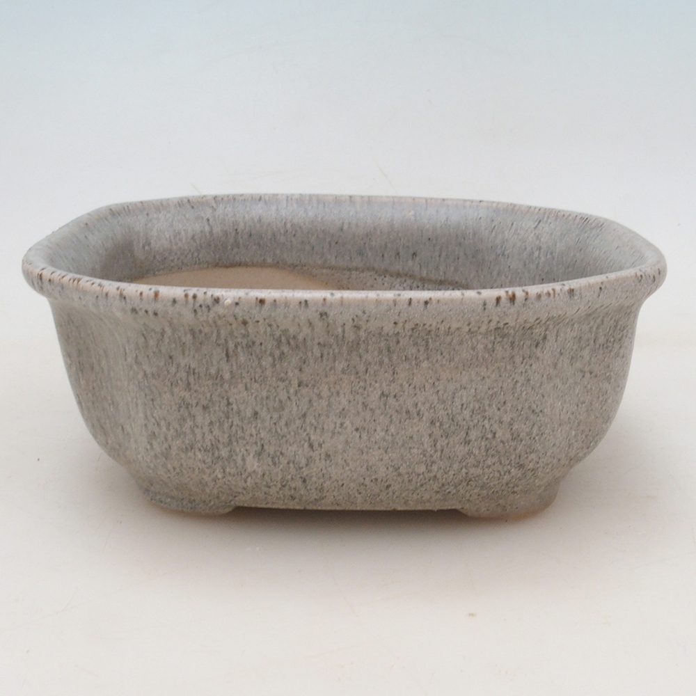 Bonsaischale + Untertasse H31 - beige