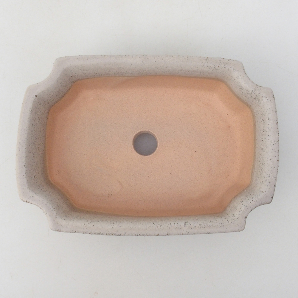 Bonsaischale H17 - 15 x 10 x 4 cm - beige