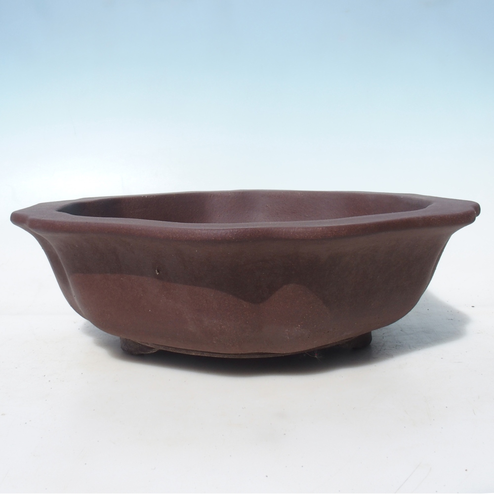 Bonsaischale 39 x 39 x 11,5 cm Birke braun