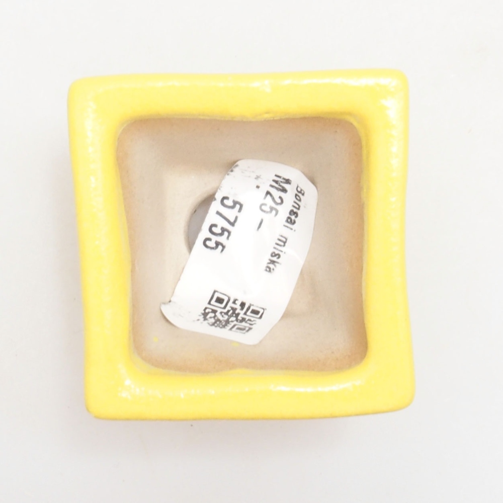 Bonsaischale aus Keramik 5 x 5 x 3,5 cm, gelb