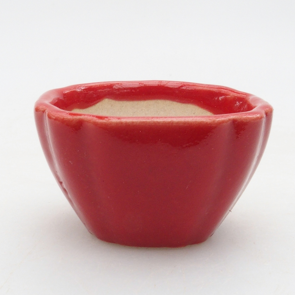 Mini-Bonsaischale 4 x 4 x 2,5 cm, Farbe rot