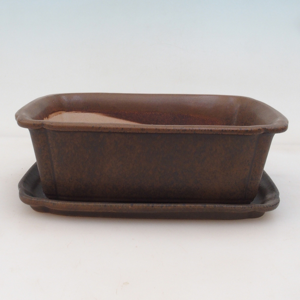 Bonsaischale + Untertasse H50 - braun