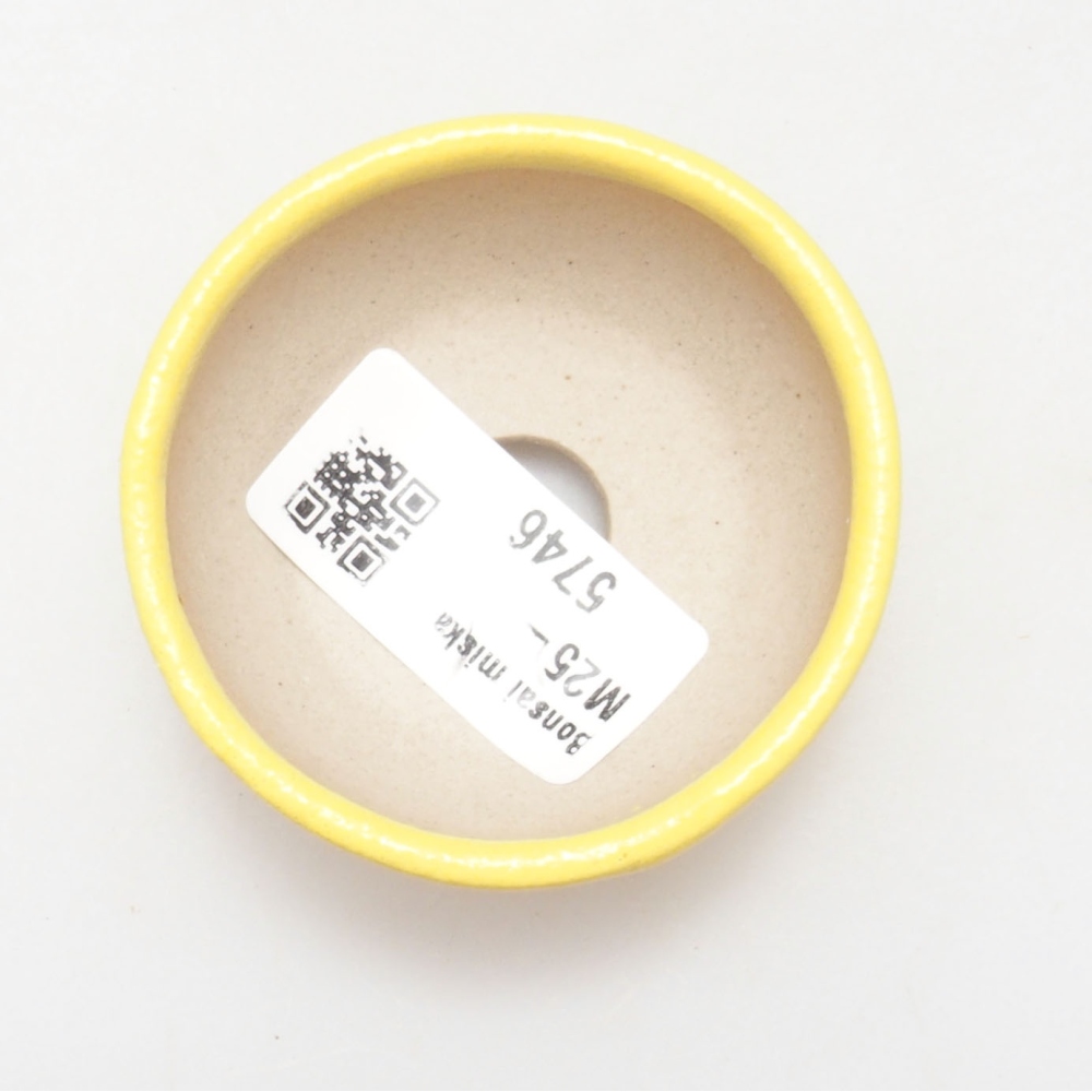 Bonsaischale aus Keramik 6 x 6 x 2,5 cm, gelb