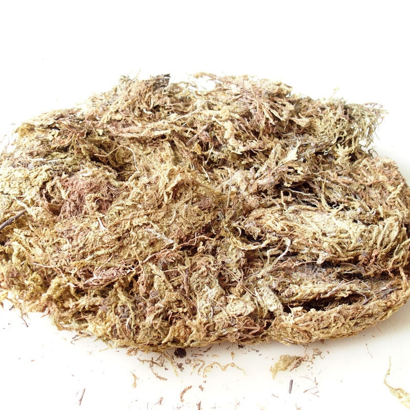 Moose (Bryophyta) - Moos 1 kg