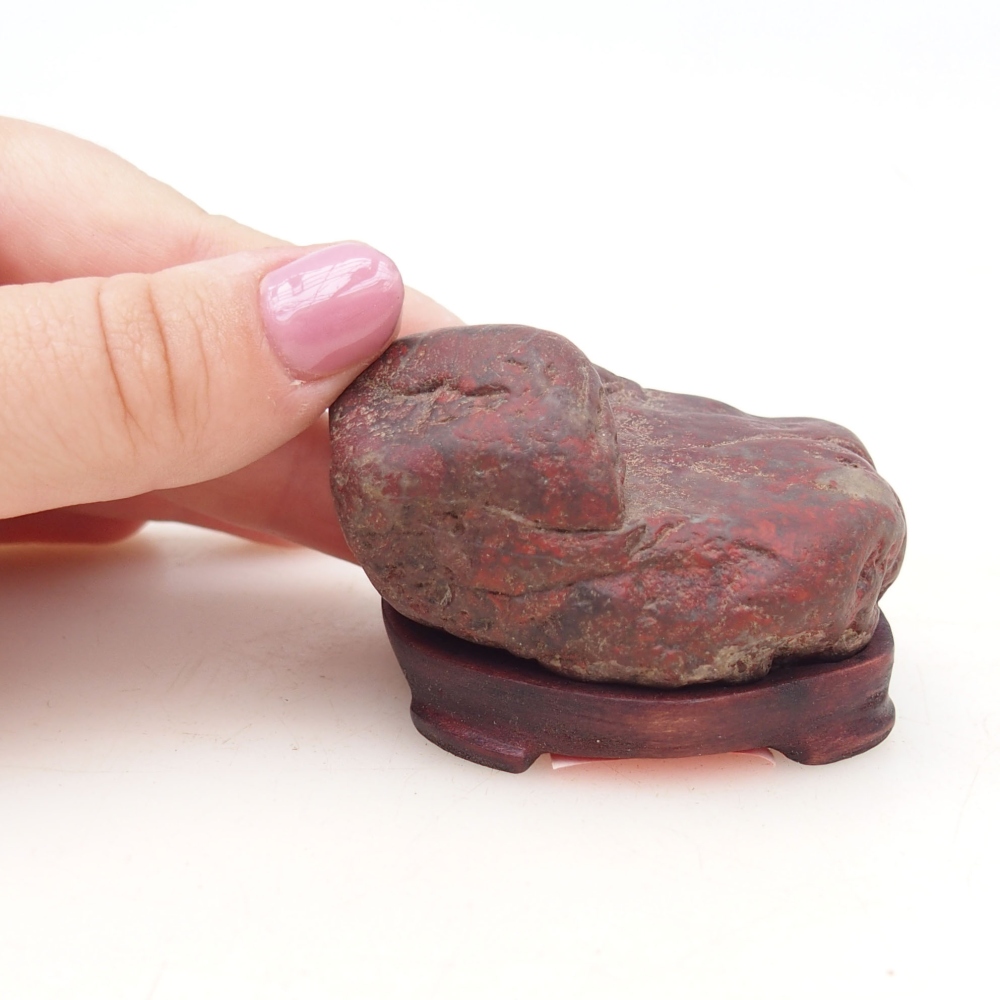 Suiseki - Stein mit DAI (Holzsockel)