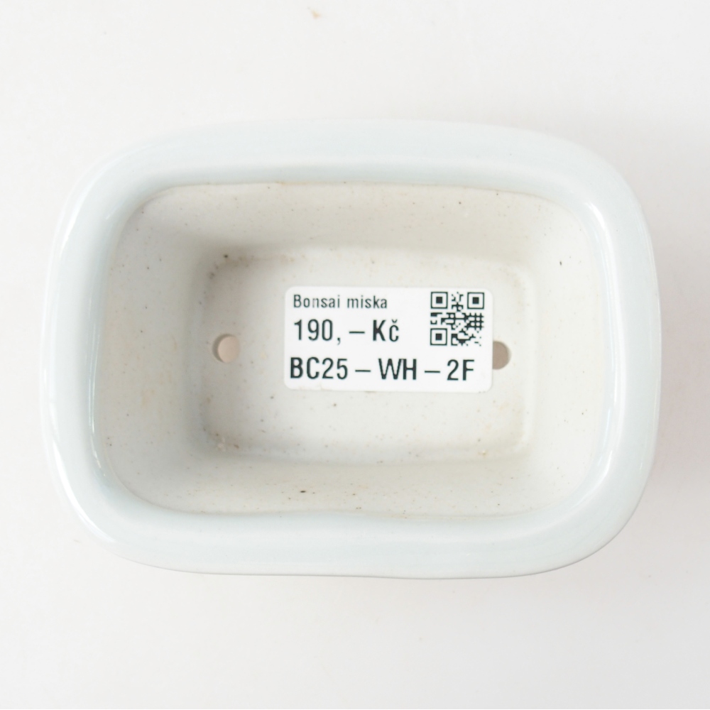 Mini-Bonsaischale 10 x 7,5 x 4 cm, Farbe weiß