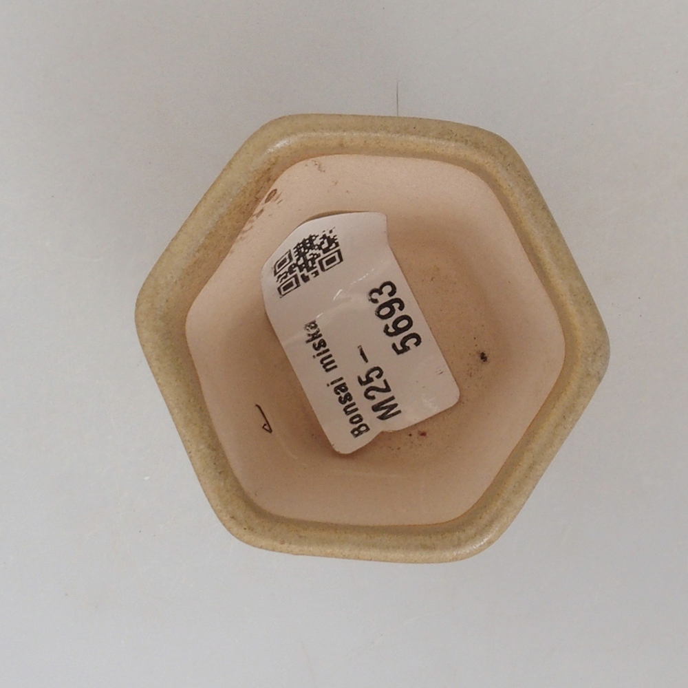 Mini-Bonsaischale 5 x 5 x 5 cm, braun