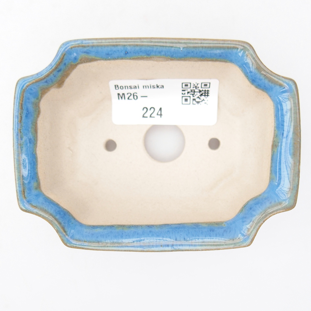 Mini-Bonsaischale 9 x 6,5 x 3,5 cm, Farbe blau