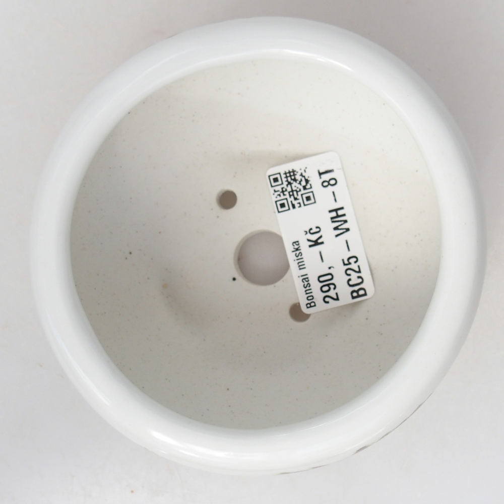 Bonsaischale aus Keramik 10 x 10 x 5 cm, Farbe weiß