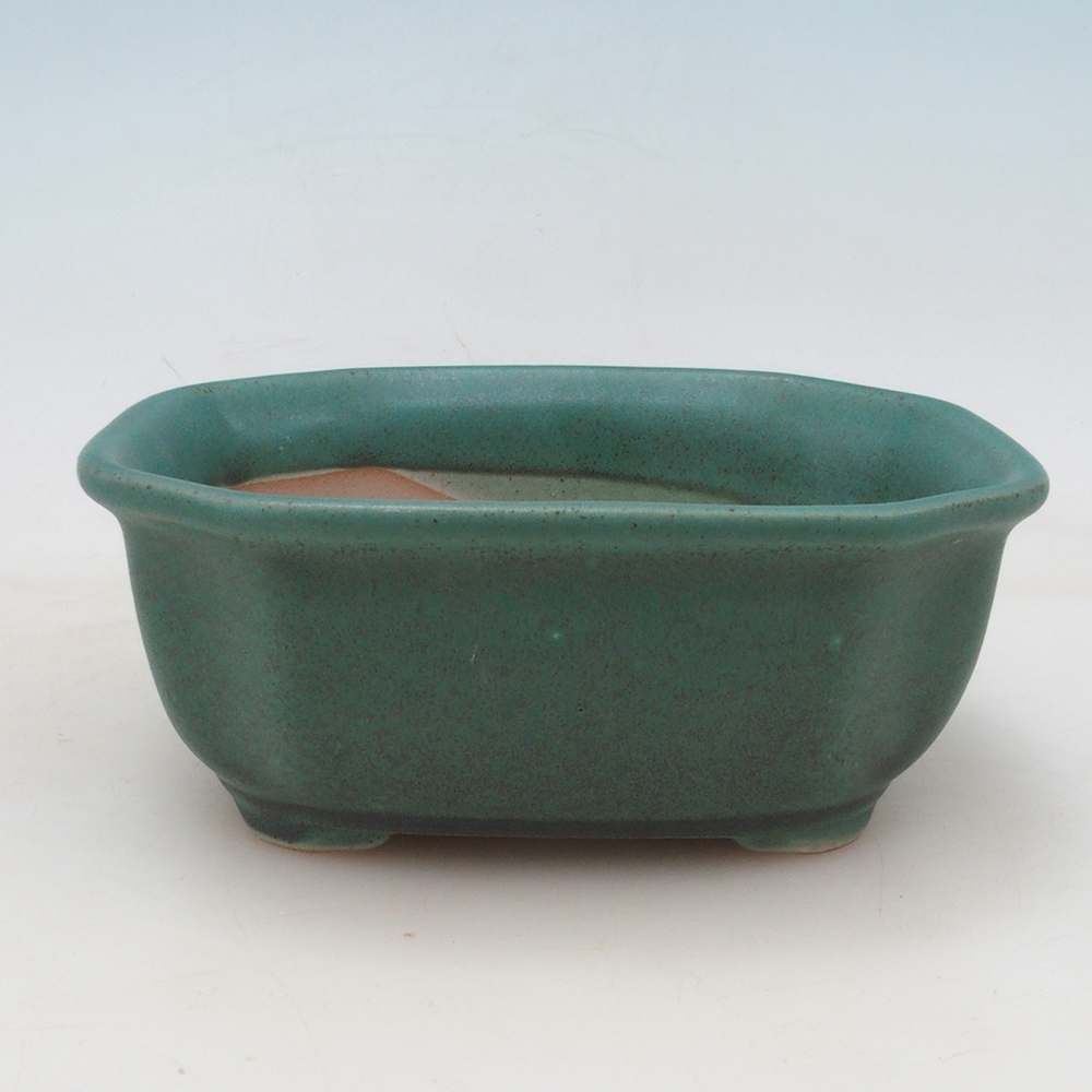 Bonsaischale H31 - 14 x 12 x 5,5 cm - grün