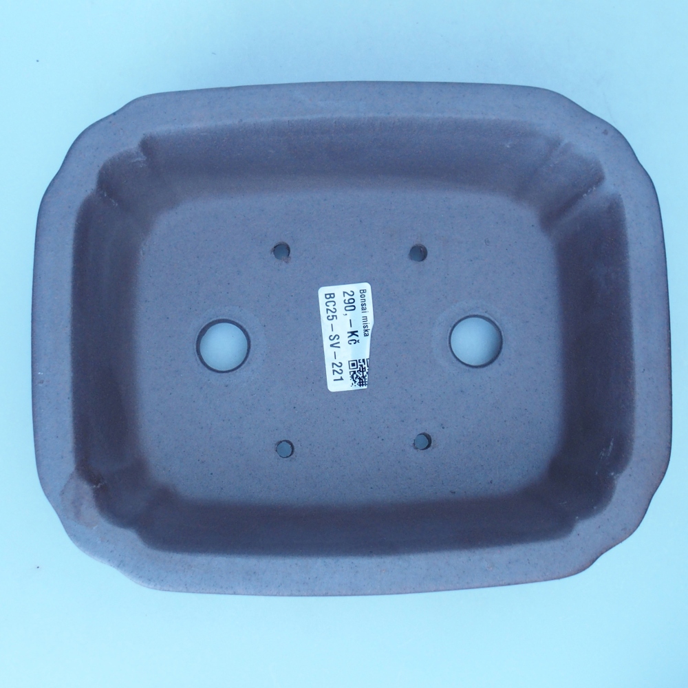 Schale 21,5 x 17,5 x 6,5 cm braun