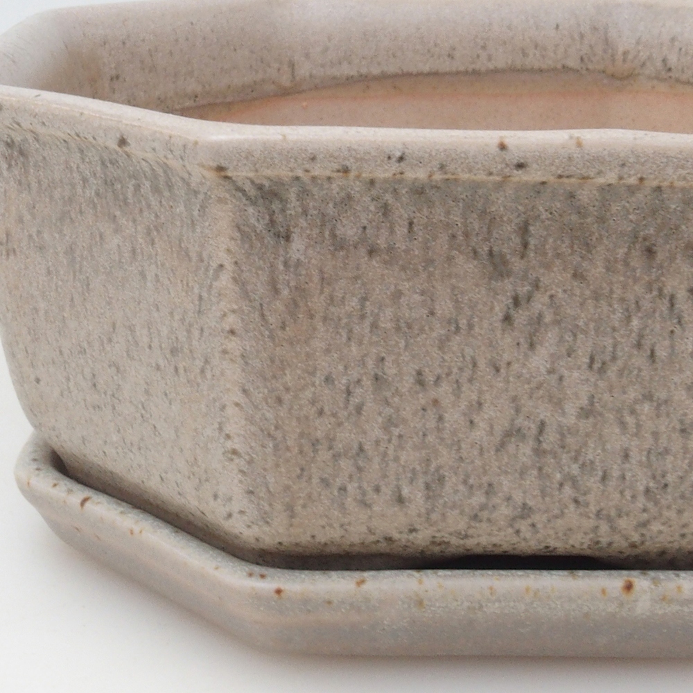 Bonsaischale + Untertasse H13 - 12,5x12,5 x4,5 cm - beige