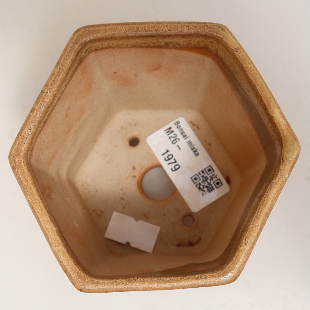 Keramik-Bonsai-Schale 9 x 8,5 x 8 cm, Farbe: Beige