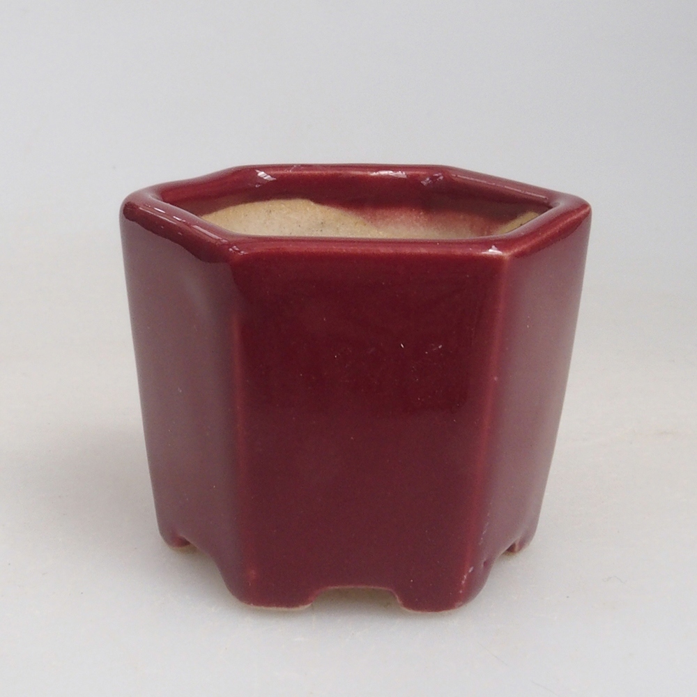 Mini-Bonsaischale 4 x 4 x 3,5 cm, bordeauxrot