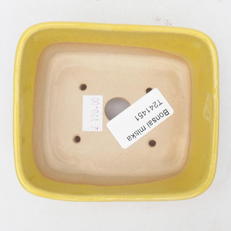 Bonsaischale aus Keramik 10,5 x 9 x 4 cm, gelb