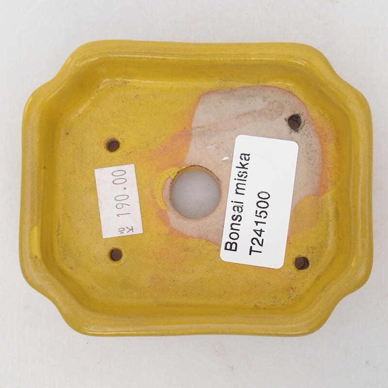 Bonsaischale aus Keramik 10 x 8 x 2 cm, gelb