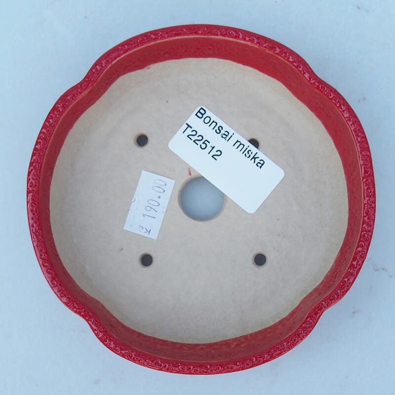 Bonsaischale aus Keramik 11 x 11 x 2,5 cm, Farbe rot