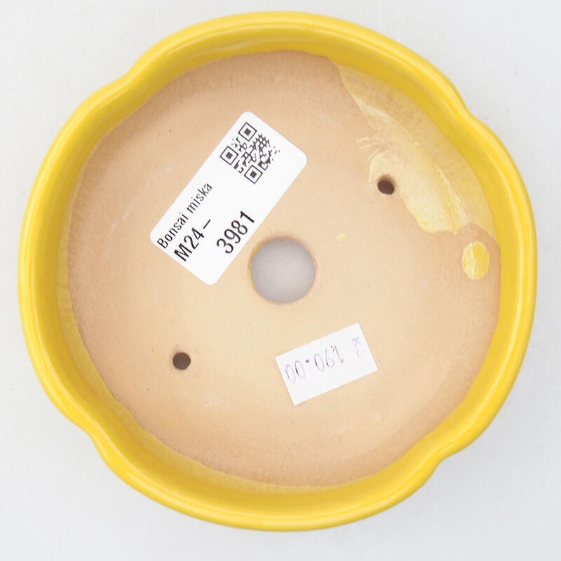 Bonsaischale aus Keramik 11 x 11 x 3 cm, gelb