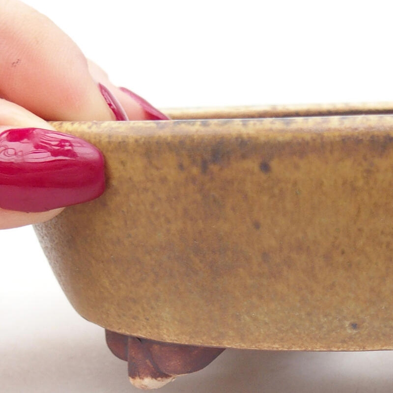 Bonsaischale aus Keramik 12,5 x 10 x 4 cm, grün