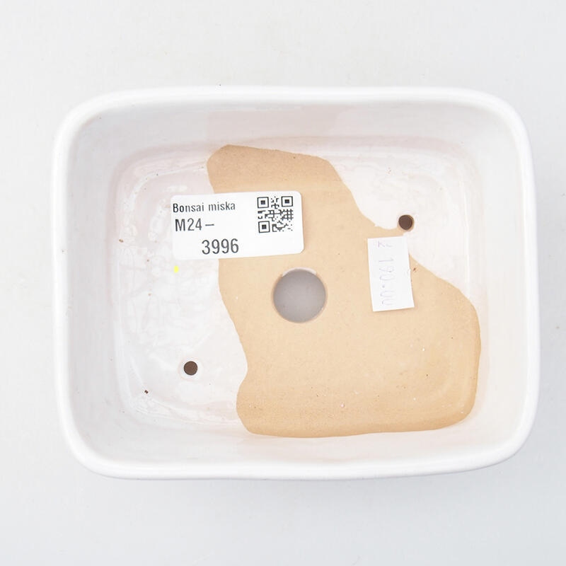 Bonsaischale aus Keramik 12 x 10 x 4 cm, Farbe weiß
