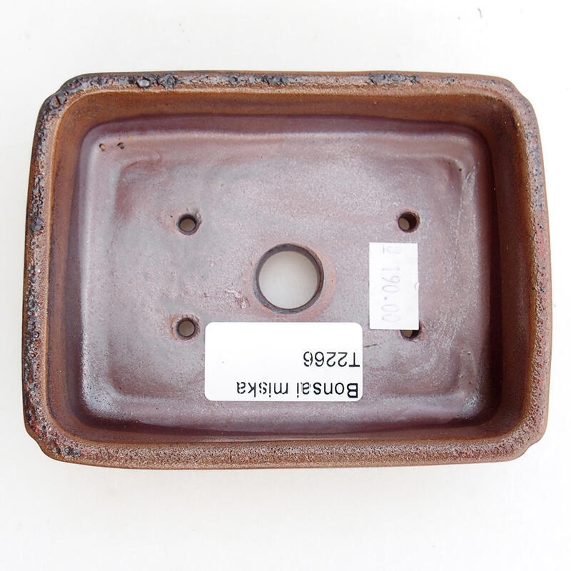 Bonsaischale aus Keramik 12 x 9 x 3,5 cm, braun