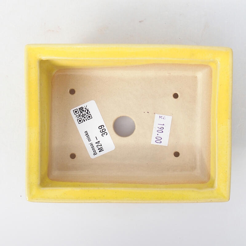 Bonsaischale aus Keramik 13 x 10 x 3,5 cm, gelb