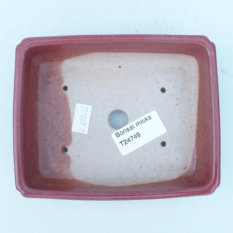 Bonsaischale aus Keramik 14 x 11 x 4 cm, rosa