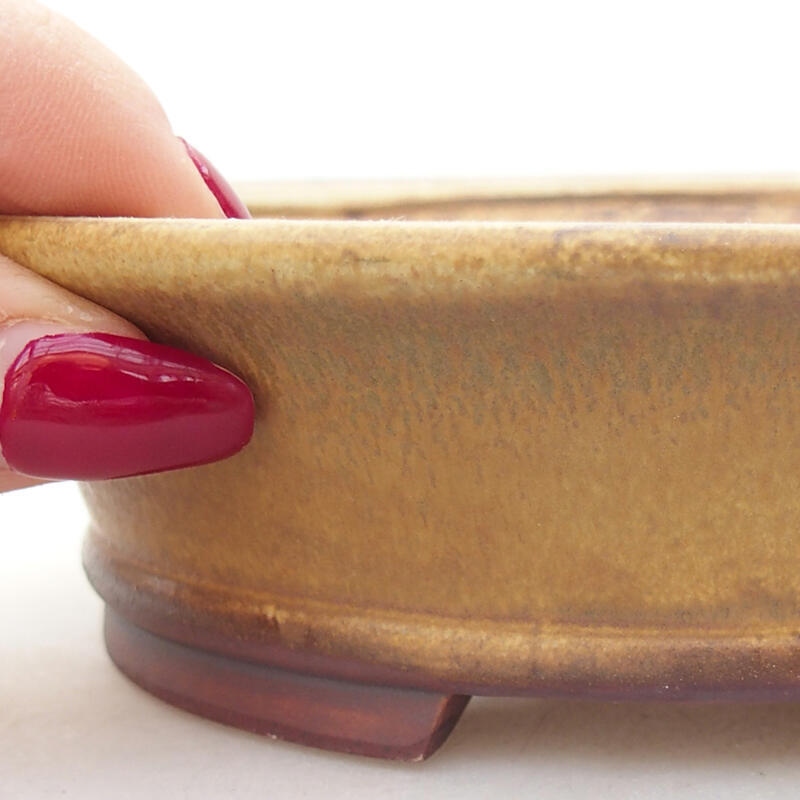 Bonsaischale aus Keramik 14 x 12,5 x 4 cm, grün