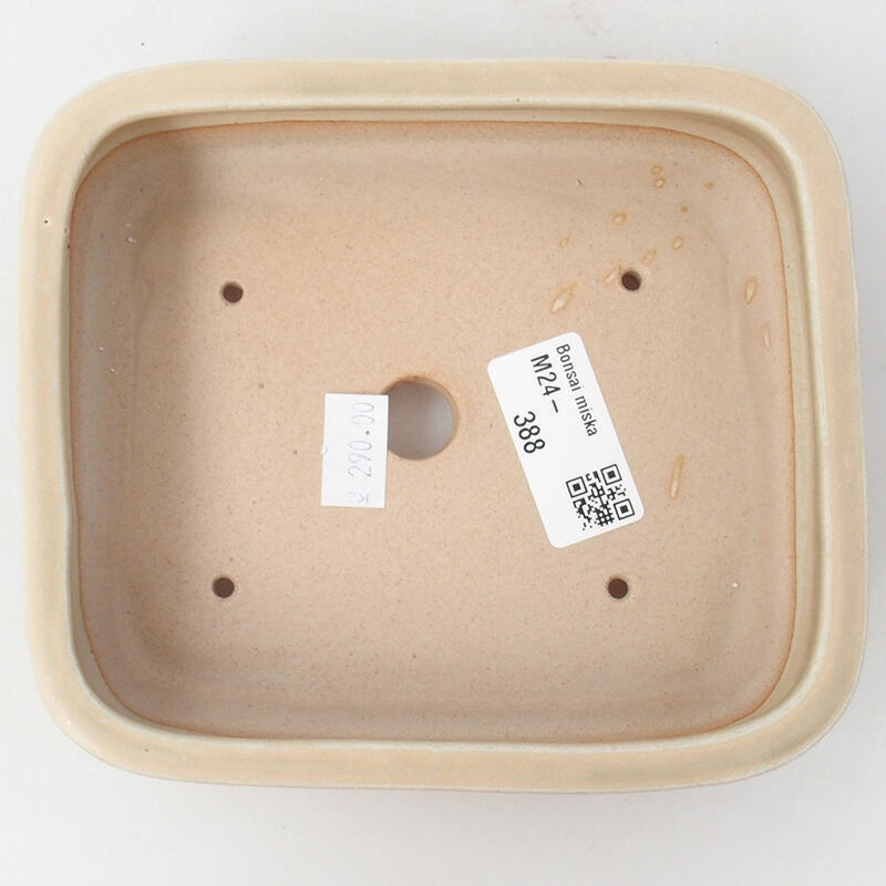 Bonsaischale aus Keramik 15 x 12,5 x 4,5 cm, Farbe beige