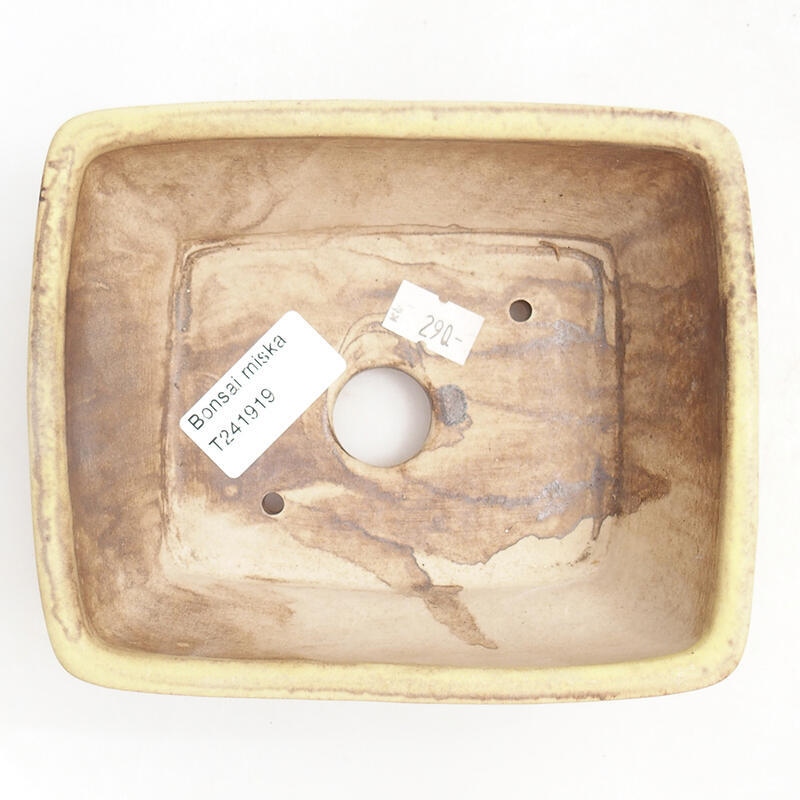 Bonsaischale aus Keramik 15 x 12,5 x 5,5 cm, grün