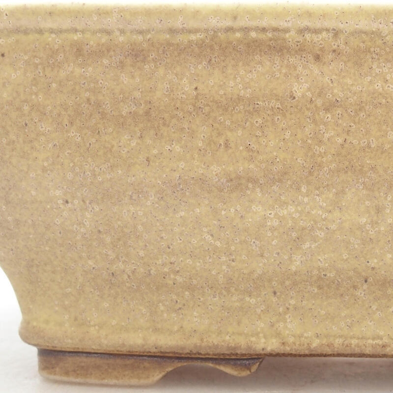 Bonsaischale aus Keramik 15 x 12,5 x 5,5 cm, grün