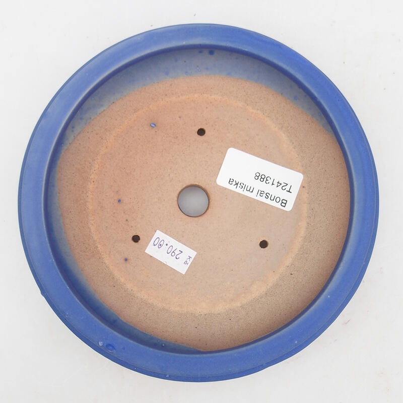 Bonsaischale aus Keramik 16,5 x 16,5 x 4,5 cm, Farbe blau