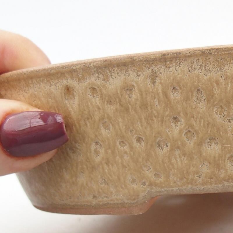 Bonsaischale aus Keramik 17,5 x 14 x 4 cm, Farbe beige