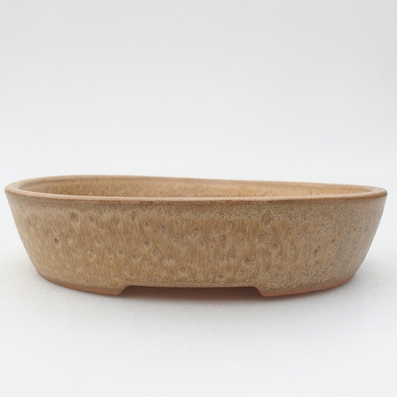 Bonsaischale aus Keramik 17,5 x 14 x 4 cm, Farbe beige